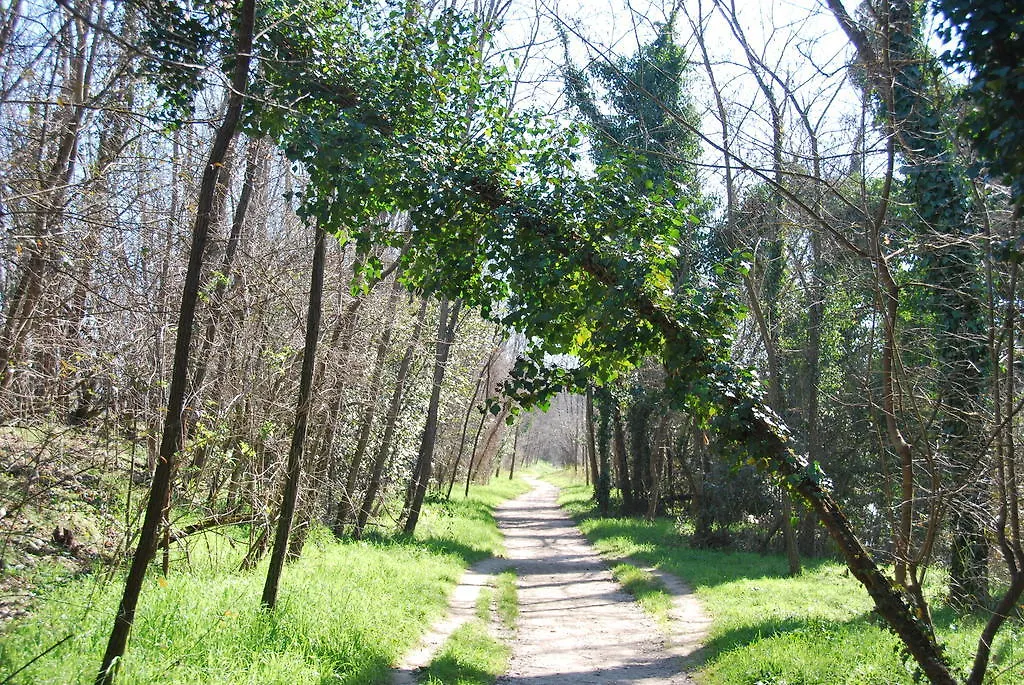 皮列克索威艾勒戴住宿加早餐旅馆 Ponte Valleceppi